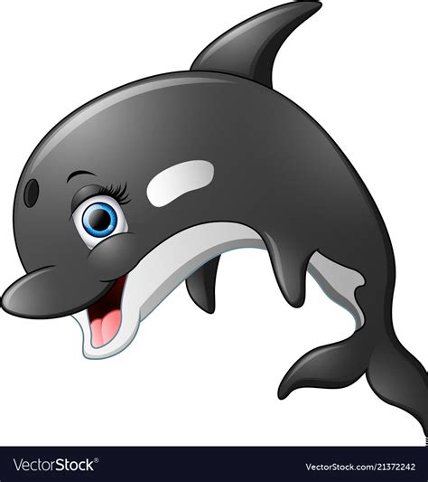 Happy killer whale cartoon Royalty Free Vector Image