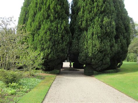 BRECHIN CASTLE GARDENS 28-04-2019 12-36-51 | Plantaholic Sheila | Flickr