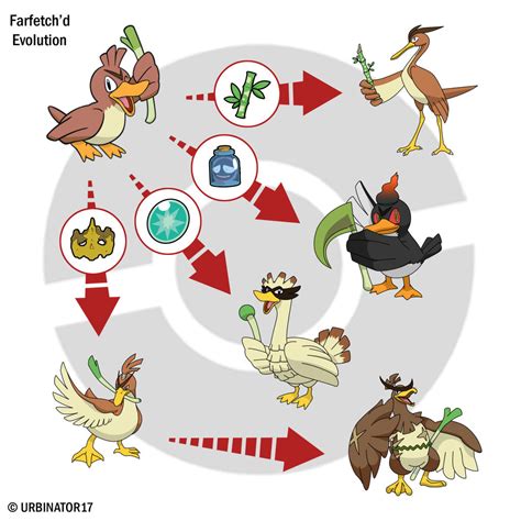 Farfetch'd Evolution by Urbinator17 on DeviantArt