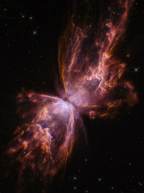 Butterfly Nebula Wallpaper - Butterfly Mania