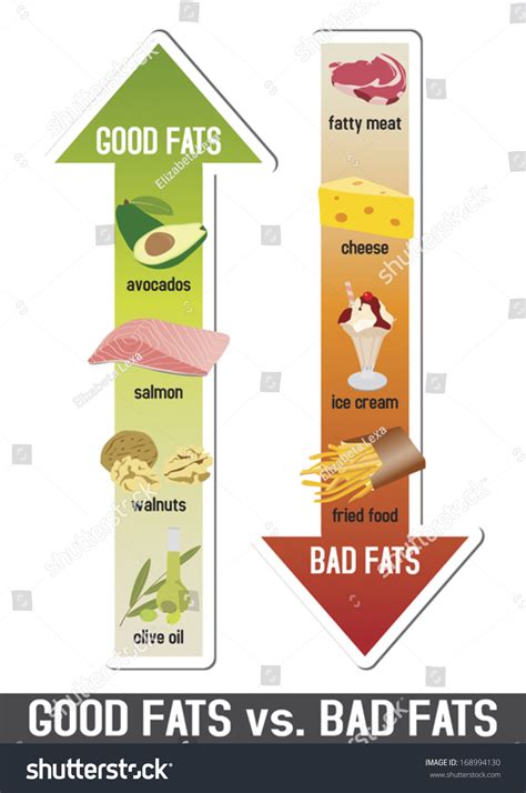 Good Fats Bad Fats Polyunsaturated Monounsaturated Stock Vector ...