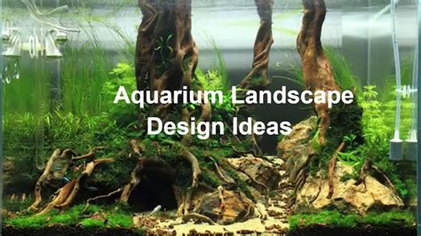 33 Best Aquarium Landscape Design Ideas #11 - YouTube