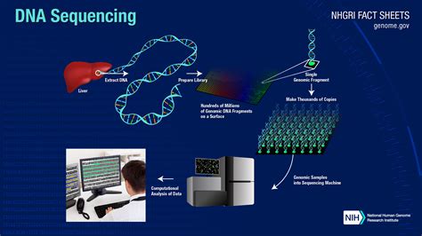 Dna Sequencing