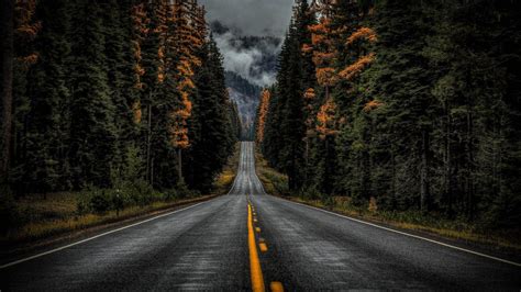 Dark Forest Road Wallpapers - Top Free Dark Forest Road Backgrounds ...