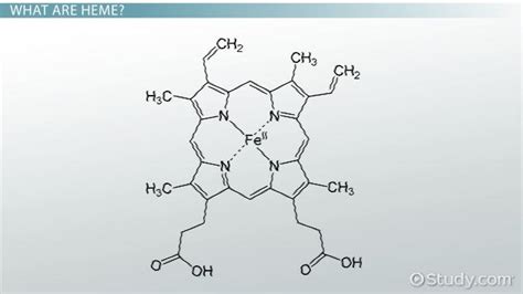 Structure of the Heme Prosthetic Group