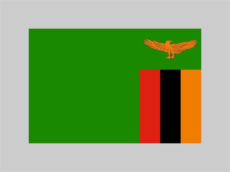 Zambia flag, official colors and proportion. Vector illustration ...