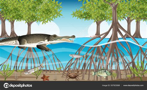 Animals Live Mangrove Forest Daytime Scene Illustration Stock Vector ...