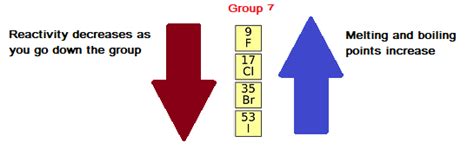 Halogens: Group 7 of the Periodic Table - Chemistry Revision