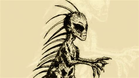 Chupacabra! The real story behind the legendary creature – Mystery Wire