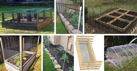 10 Vegetable Garden Fence Ideas to Protect Your Produce