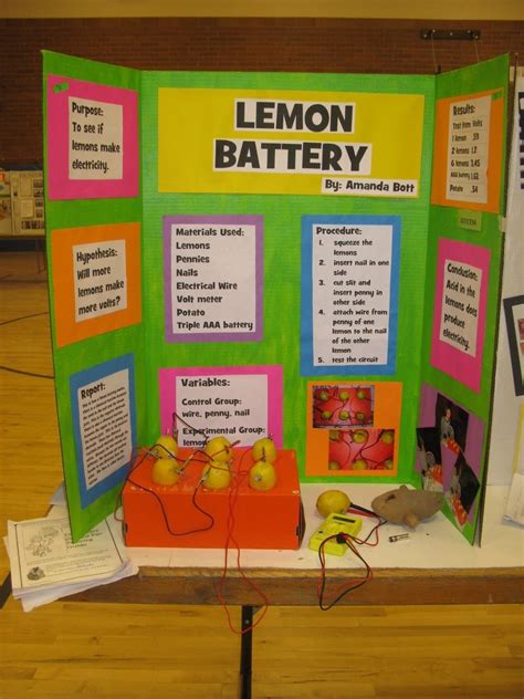 10 Best Science Project Ideas 4Th Grade 2024