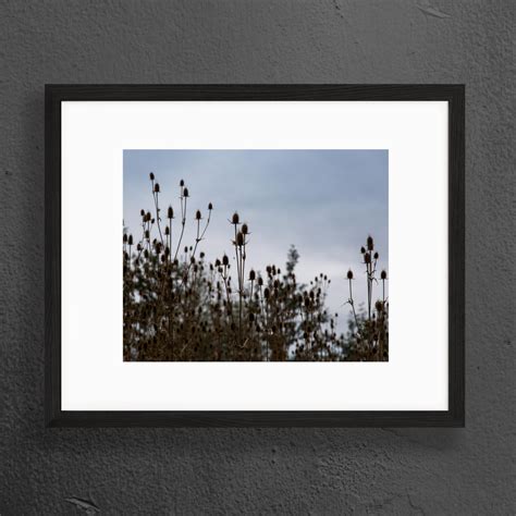 Autumn in North Tonawanda 11 Nature Photography Fall - Etsy