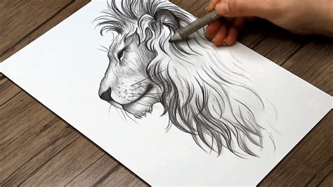 Lion Side View Drawing