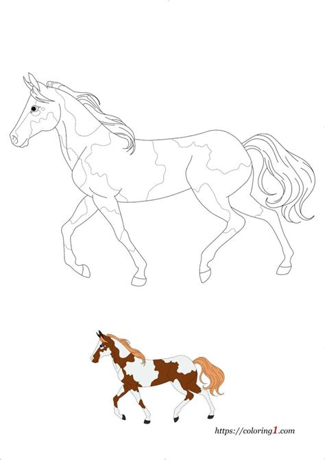 Pinto Horse Coloring Pages - 2 Free Coloring Sheets (2021) | Horse ...