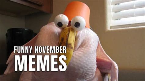 15 Best November Memes For The Penultimate Month In 2023