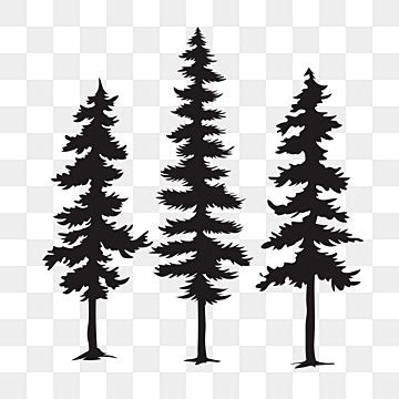 Pine Black And White Clipart Images For Free Download - Pngtree