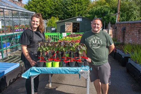 Garden centre staffed by autistic volunteers reopens in Bromborough Pool