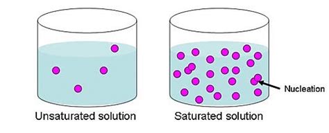 Saturated Solutions: Definition, Preparation & Examples