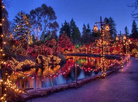 Festival of Lights at VanDusen Botanical Gardens - My Van City