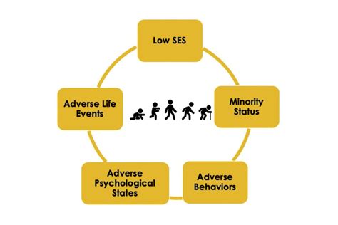 USC study: to better understand aging, study biological & social factors