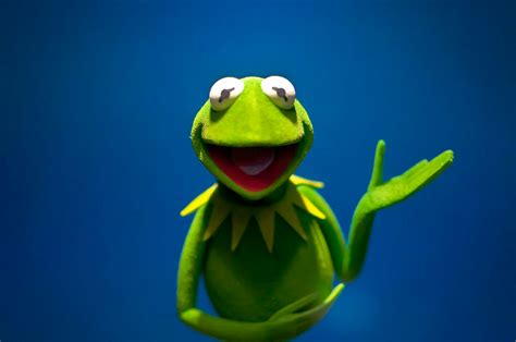 10 Kermit The Frog Quotes That Are Way Better Than The # ...