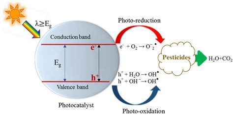 Molecules | Free Full-Text | Study of the Photocatalytic Degradation of ...