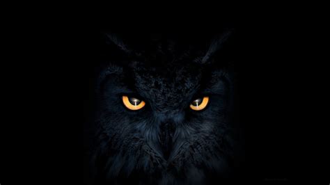 2048x1152 Owl Dark Glowing Eyes Wallpaper,2048x1152 Resolution HD 4k ...