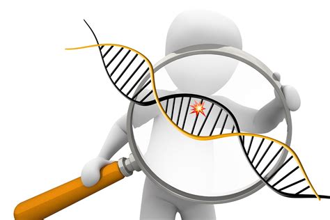 short tandem repeats (STRs) – The DNA Geek