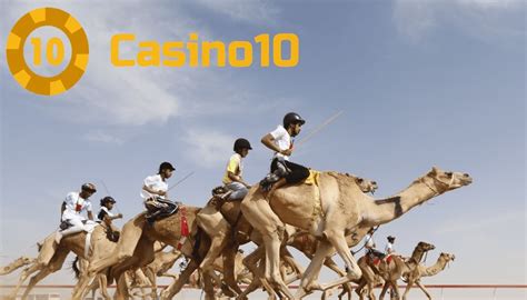 Kuwait Attraction - Camel Racing | CasinoKuwait10 Blog