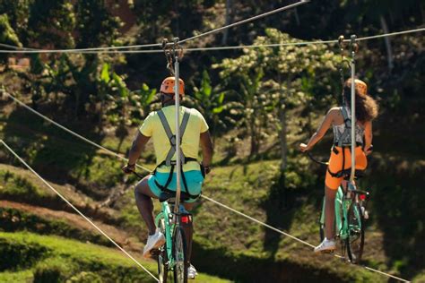 Puerto Rico: Toro Verde Adventure Park Zipline Bike Ticket in Puerto Rico