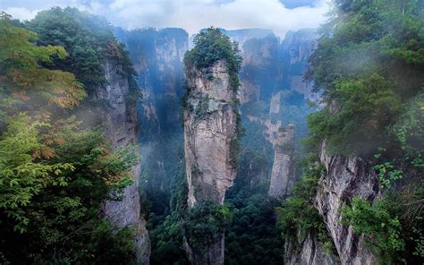 Download Cliff China Tree Nature Zhangjiajie National Forest Park HD ...