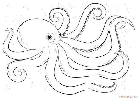 how to draw an octopus realistic - Gayle Guess