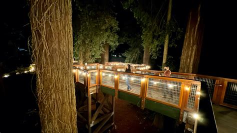 Sequoia Park Zoo Set to Sparkle at First Annual Zoo Lights Celebration ...