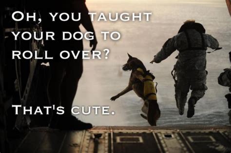 Pin by Vickie Soejoto on Quotes and Inspiration | Military dogs ...