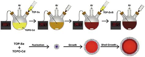 Colloidal synthesis of CdSe quantum dots. TOP trioctylphosphine, TOPO ...