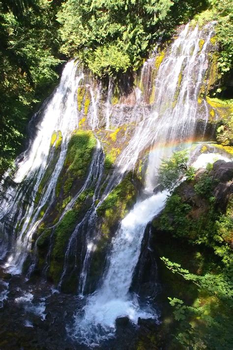 Panther Creek Falls | Go hiking, Trip, Waterfall