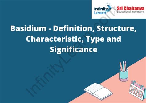 Basidium - Definition, Structure, Characteristic, Type and Significance