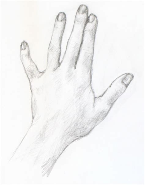 Drawing Tutorial: A Simple Drawing of Your Hand « Portrait Artist from ...