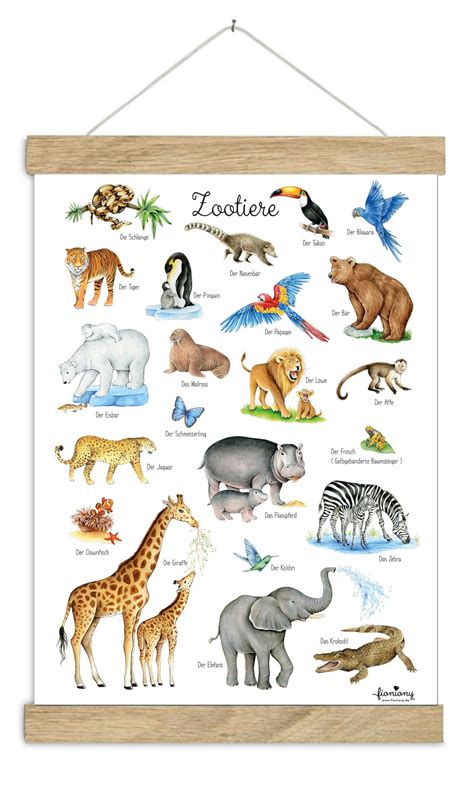 Zoo Animals Poster DINA3 Unframed Learning Poster Insects | Etsy