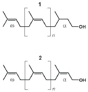 Structure of dolichol (1) and polyprenol (2) n Indicates the number of ...