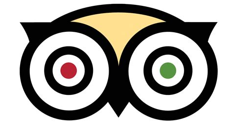 Collection of Tripadvisor Logo Vector PNG. | PlusPNG