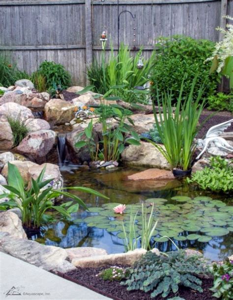 Before You Dig, Think About the Pond Plants - Aquascape Professionals