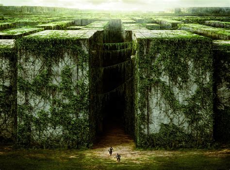 the, Maze, Runner, Action, Mystery, Thriller, Sci fi Wallpapers HD ...