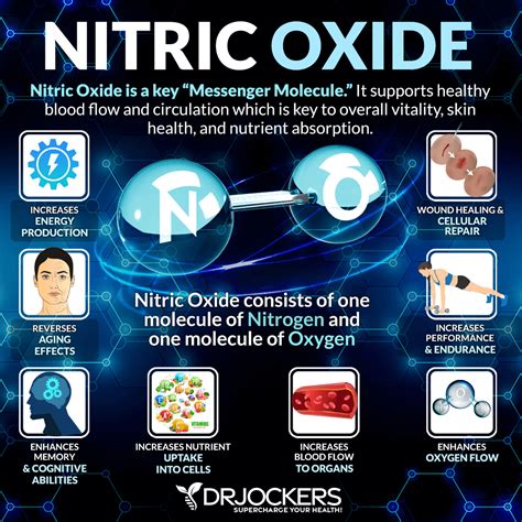 Nitric Oxide Benefits and How to Increase Levels - DrJockers.com