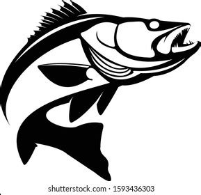 Walleye Zande Fish Logo Walleye Fish Stock Vector (Royalty Free ...