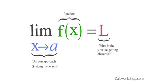 Finding Limits Graphically (How To w/ 29 Examples!)