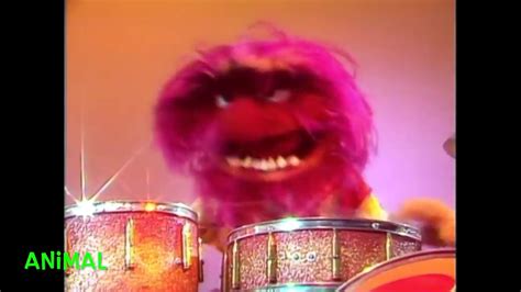 Muppet Songs: Animal - Drum Solo - YouTube