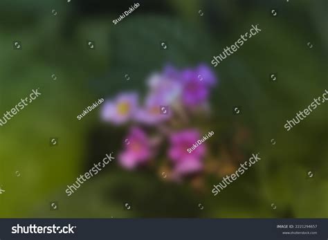 High Magnified Blurred Backgrounds Creatives Stock Photo 2221294657 ...