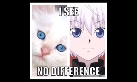 Do u see a difference cause I can't | Wiki | Anime Amino