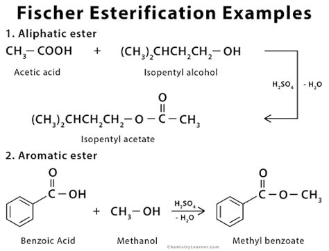 Fischer Esterification Mechanism: Meaning, Applications, Solved Examples